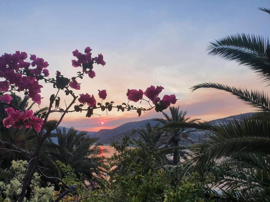 Cactus Garden Kalkan - Club Patara Villas Luaran gambar